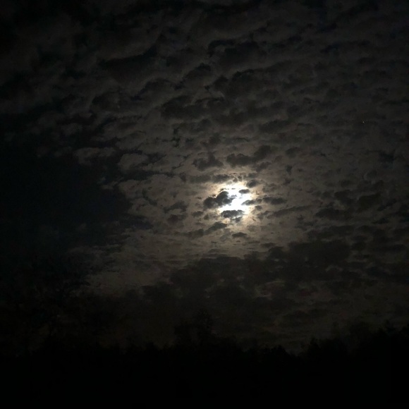 Meet your Posher, Erin - Picture 1 of 1